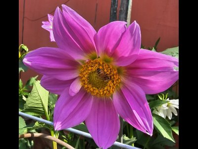 20260213_120832 - Kopie.jpg